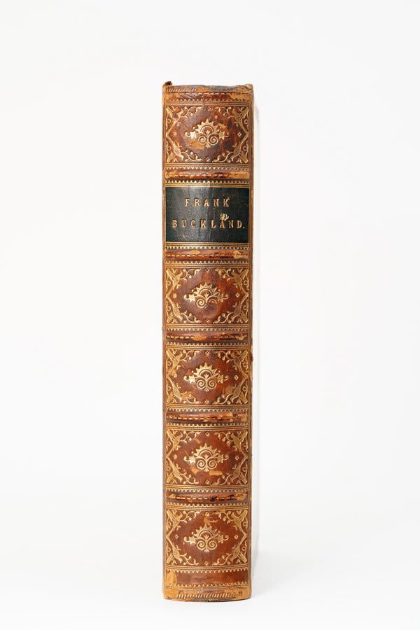1887 Frank Buckland Biography Full Leather secondary view
