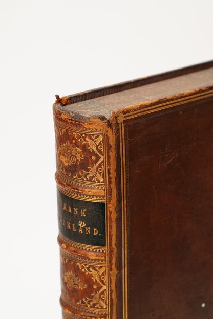 1883 Natural History and Antiquities of Selborne