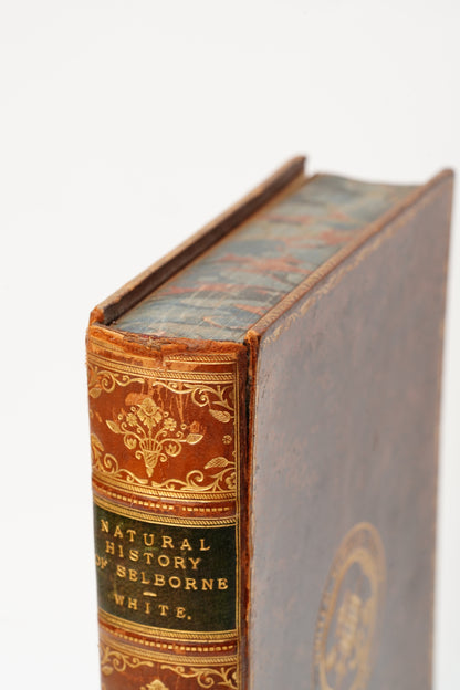 1883 Natural History and Antiquities of Selborne