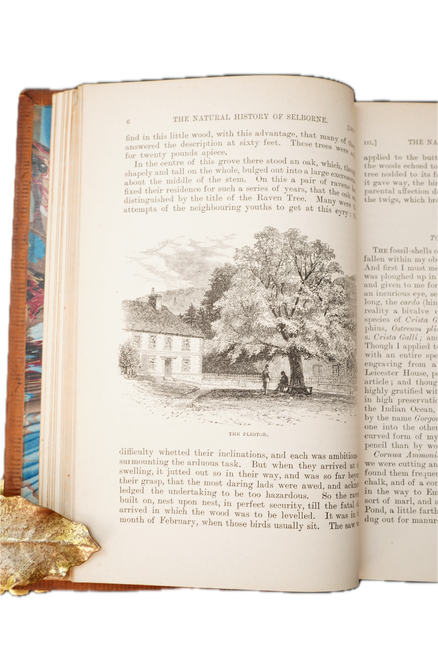 1883 Natural History and Antiquities of Selborne