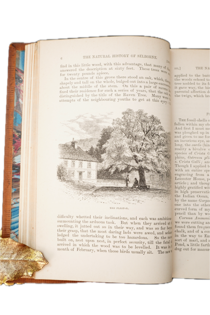 1883 Natural History and Antiquities of Selborne