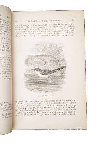 1883 Natural History and Antiquities of Selborne