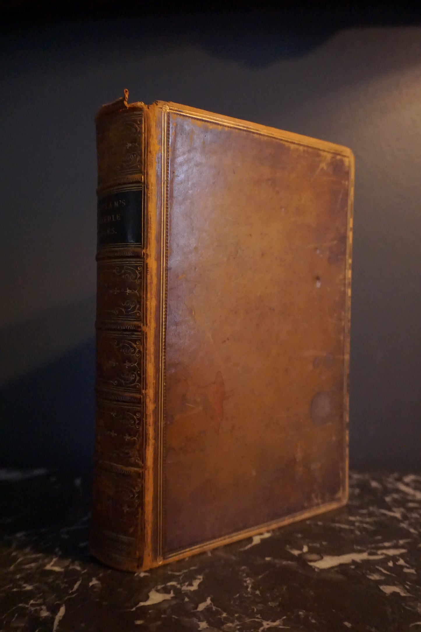 1869 "View of the State of Europe During the Middle Ages" Full Brown Leather Book
