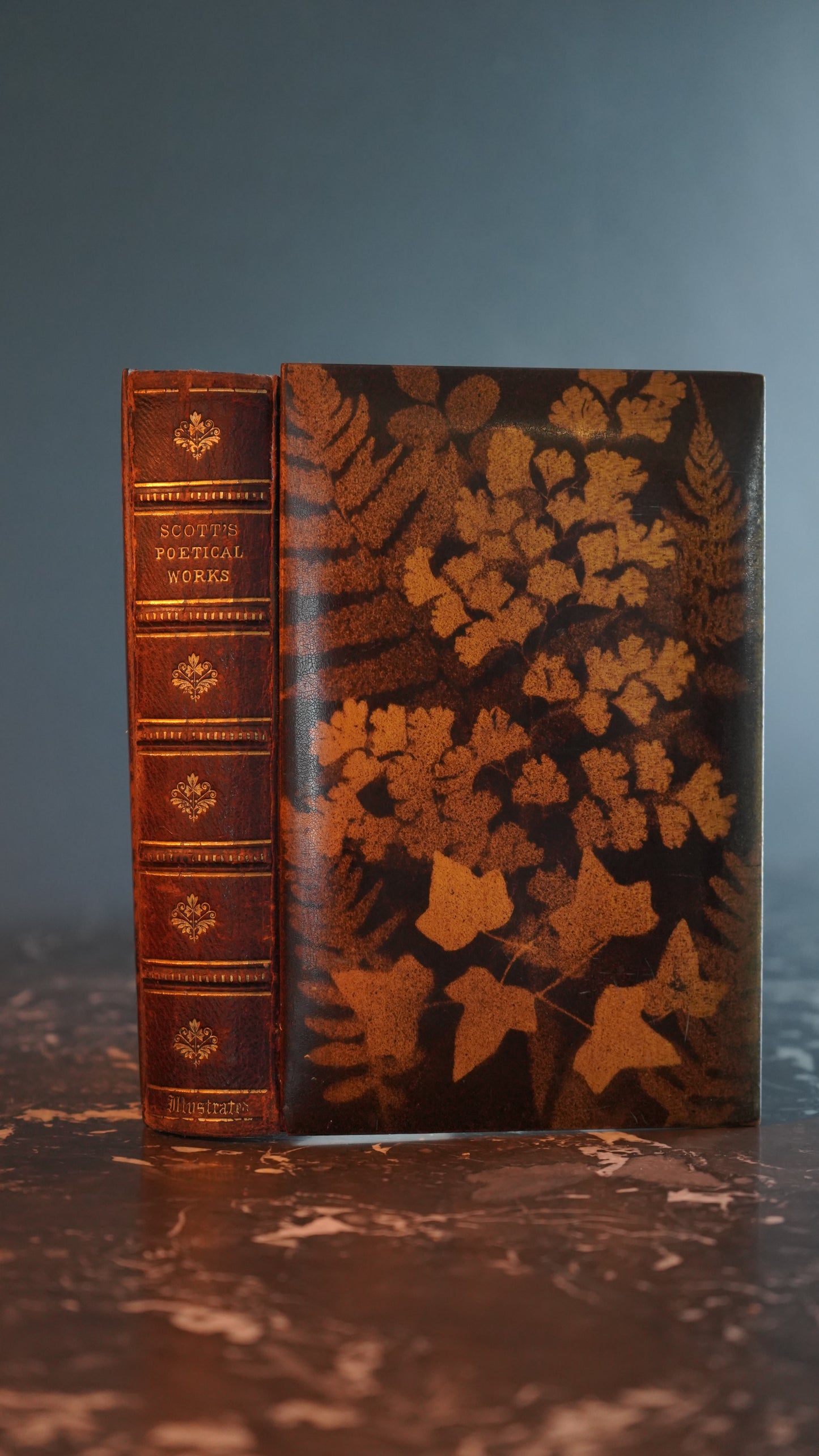 Mauchline Binding 1849 "The Poetical Works of Sir Walter Scott"