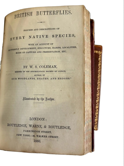Antique Our Woodlands & British Butterflies W.S. Coleman Routledge 1859-1860