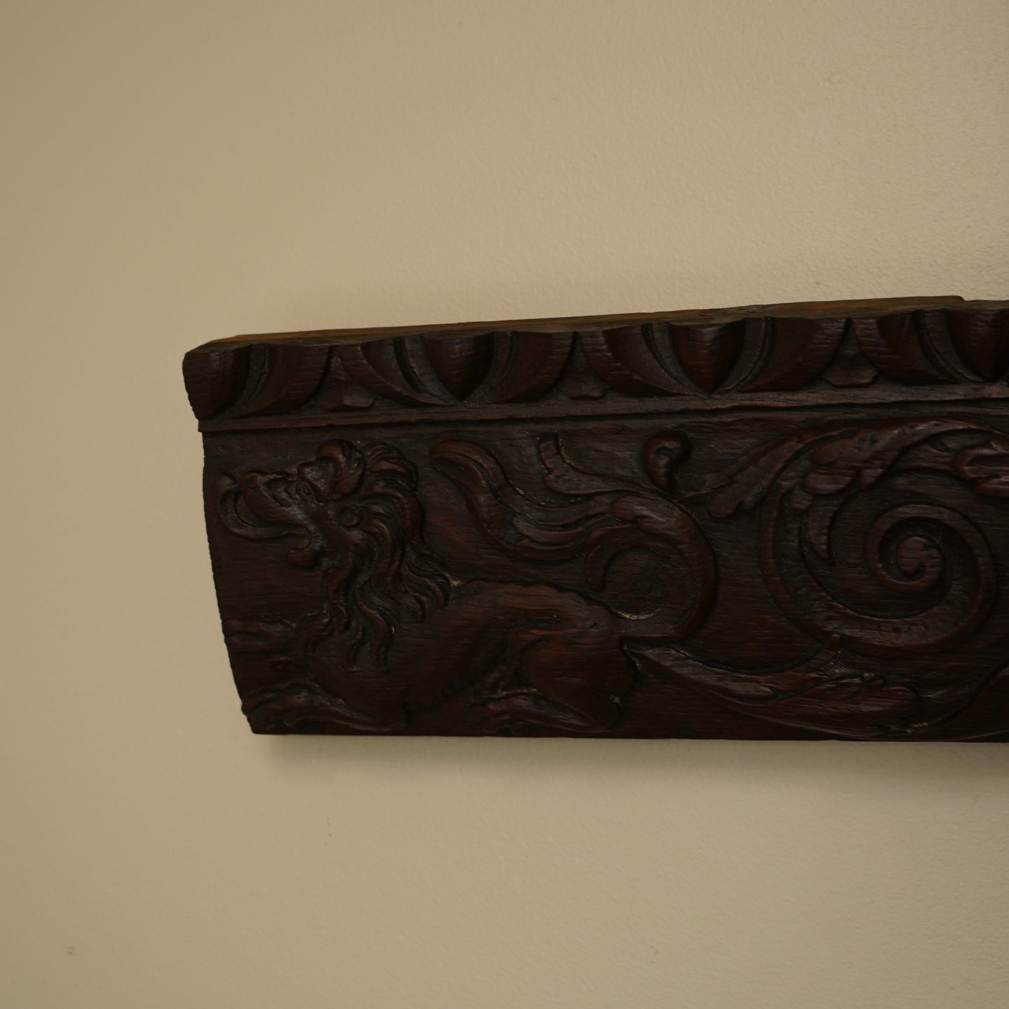 Antique Carved Oak Drawer Front | Renaissance Revival Lion, Grapevine & Acanthus | Architectural Salvage Wall Plaque c.1870–1900