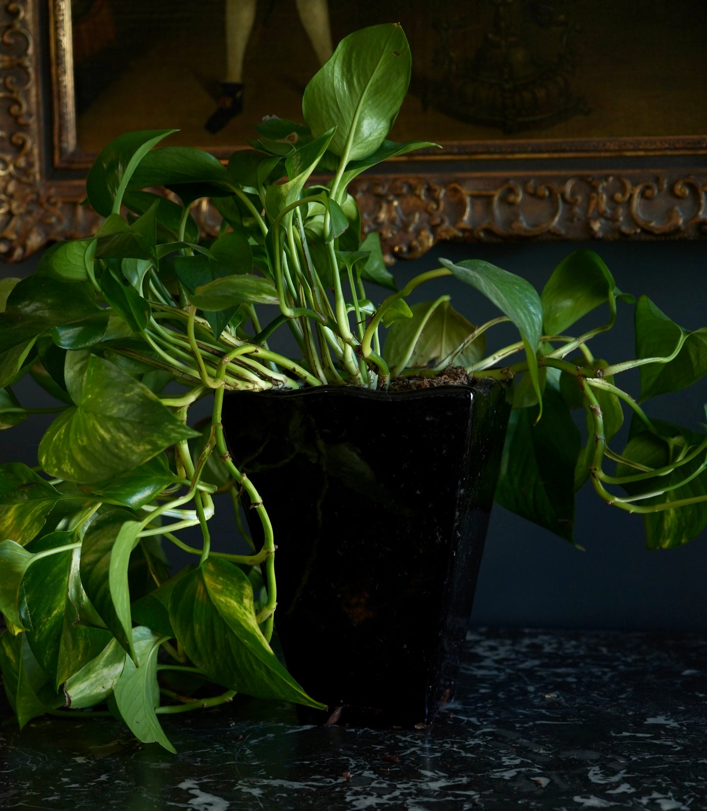 Mid-Century Japanese Black Tenmoku Glazed Terracotta Bonsai Pot | Wabi-Sabi Folk Craft Planter (8.75")