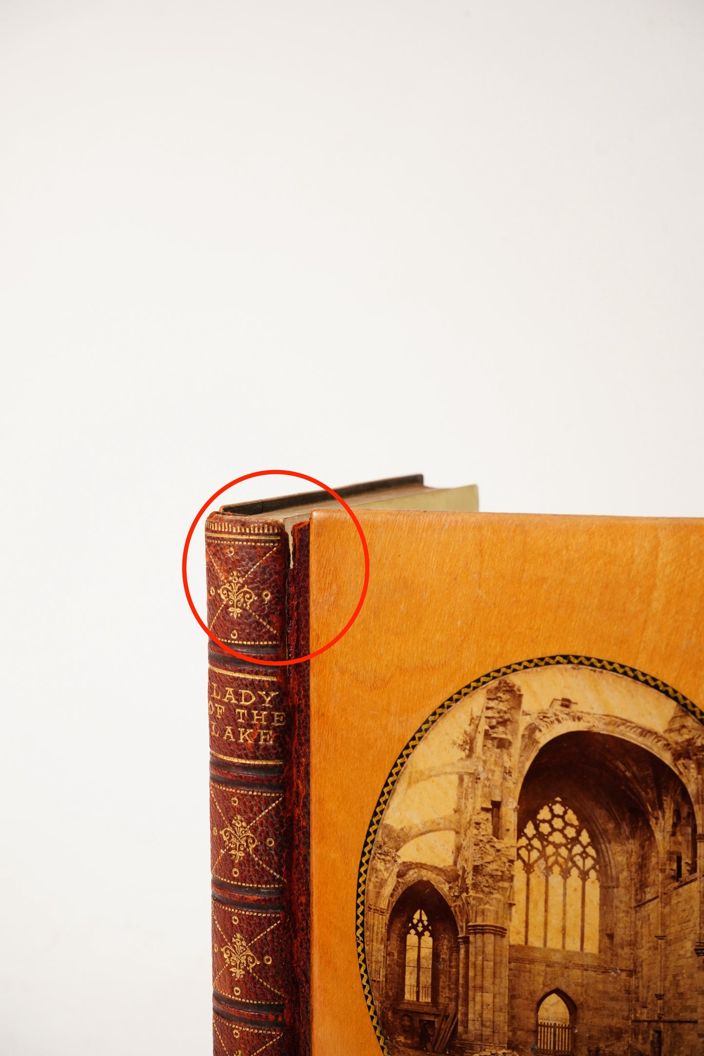 1874 Lady of the Lake Walter Scott Half Leather Wood Binding