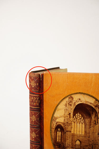 1874 Lady of the Lake Walter Scott Half Leather Wood Binding