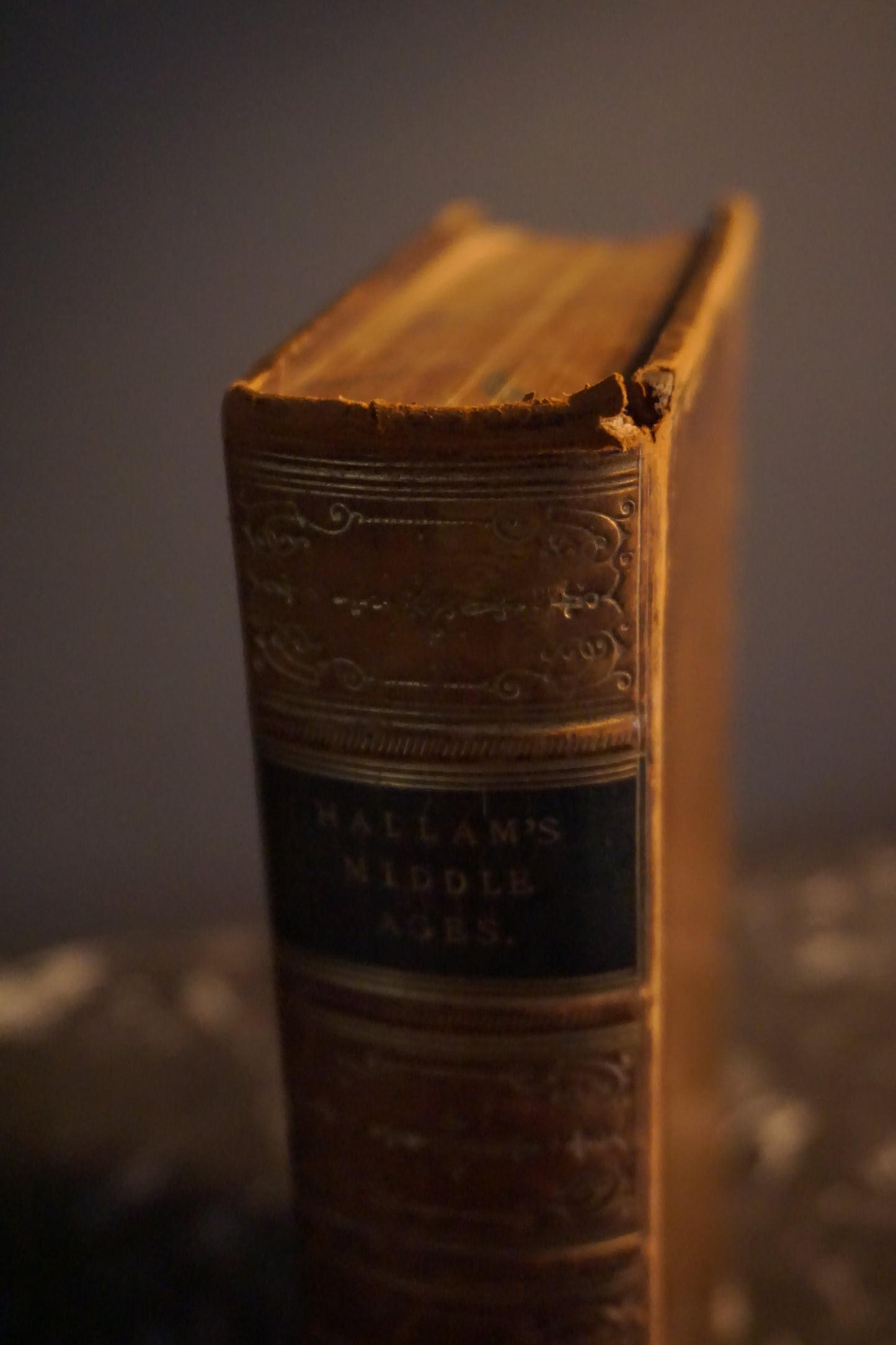 1869 "View of the State of Europe During the Middle Ages" Full Brown Leather Book