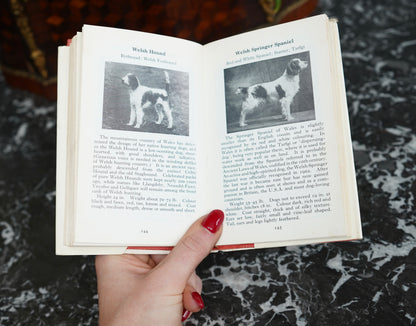 The Observer’s Book of Dogs (1970 Revised Edition) – Frederick Warne Pocket Series No. 8, Illustrated Vintage Dog Breed Guide