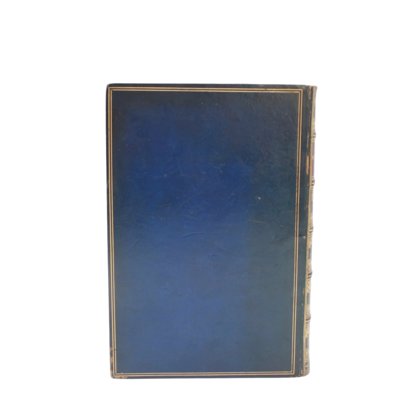 Antique Bird Book A Familiar History of Birds Victorian Prize Binding Blue Leather 1890s Illustrated Natural History