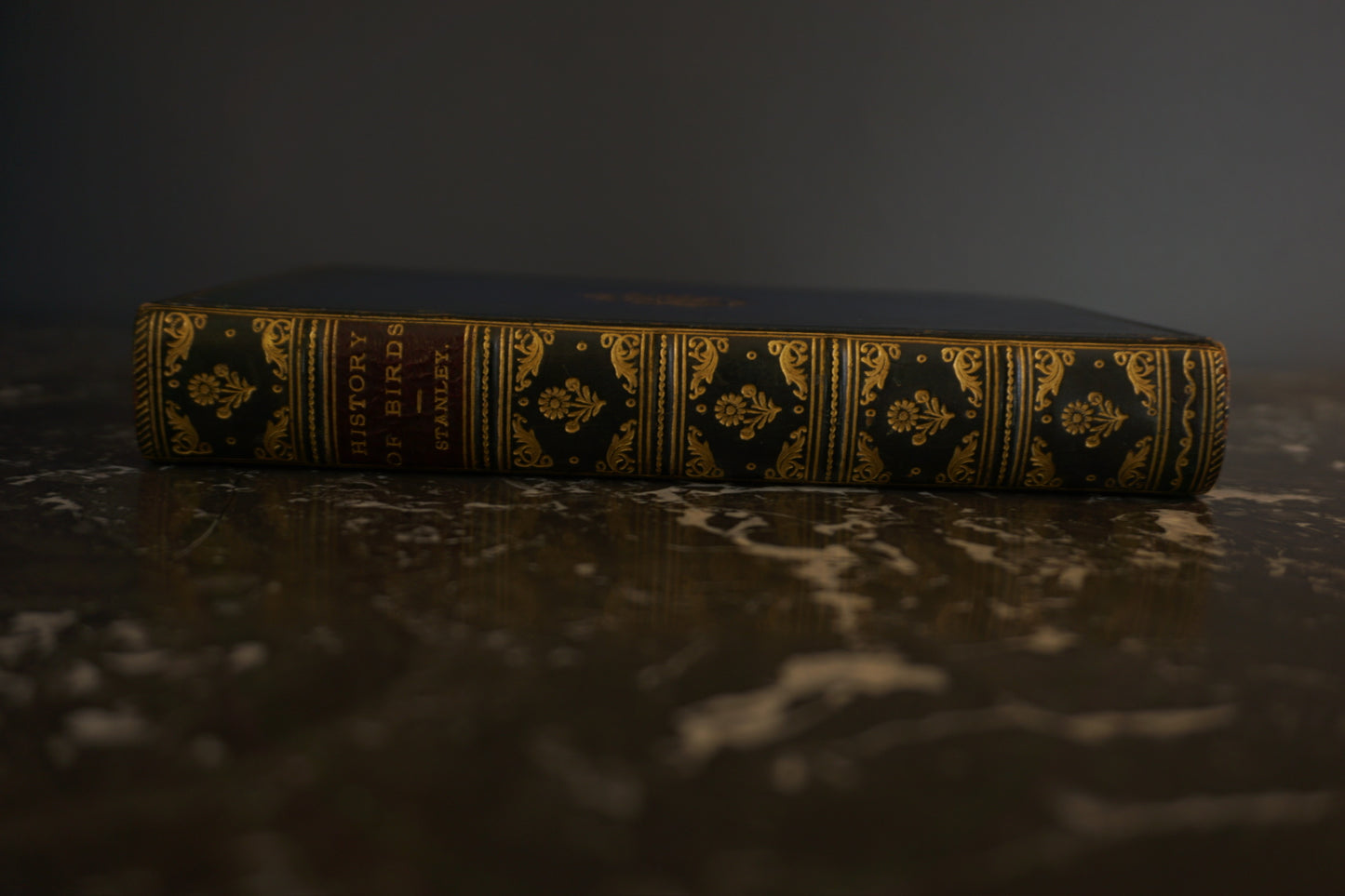 Antique Bird Book A Familiar History of Birds Victorian Prize Binding Blue Leather 1890s Illustrated Natural History