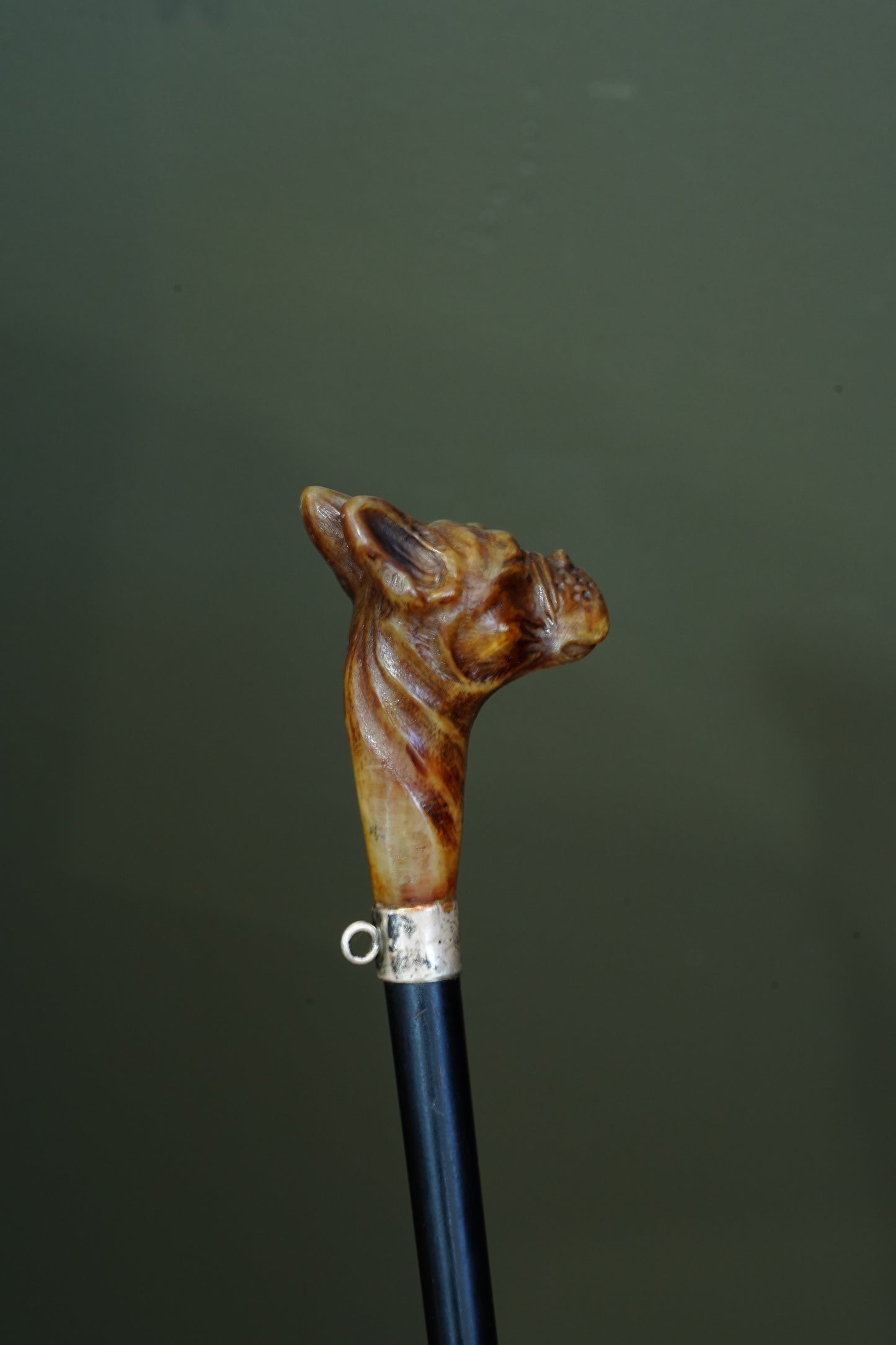 *Reserved* Victorian Carved Horn Boxer Dog Head Walking Stick