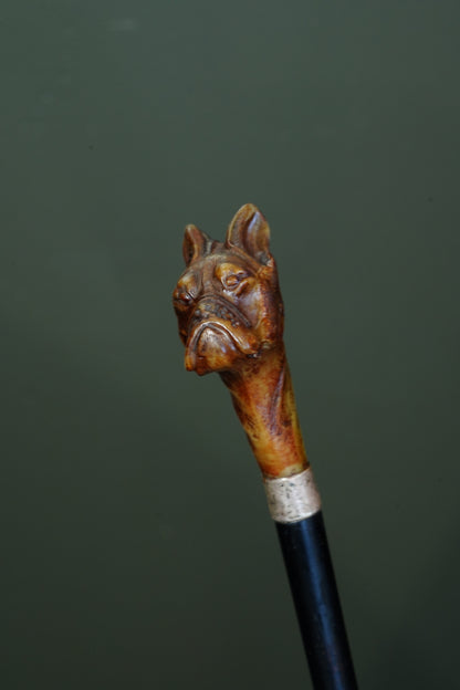 *Reserved* Victorian Carved Horn Boxer Dog Head Walking Stick