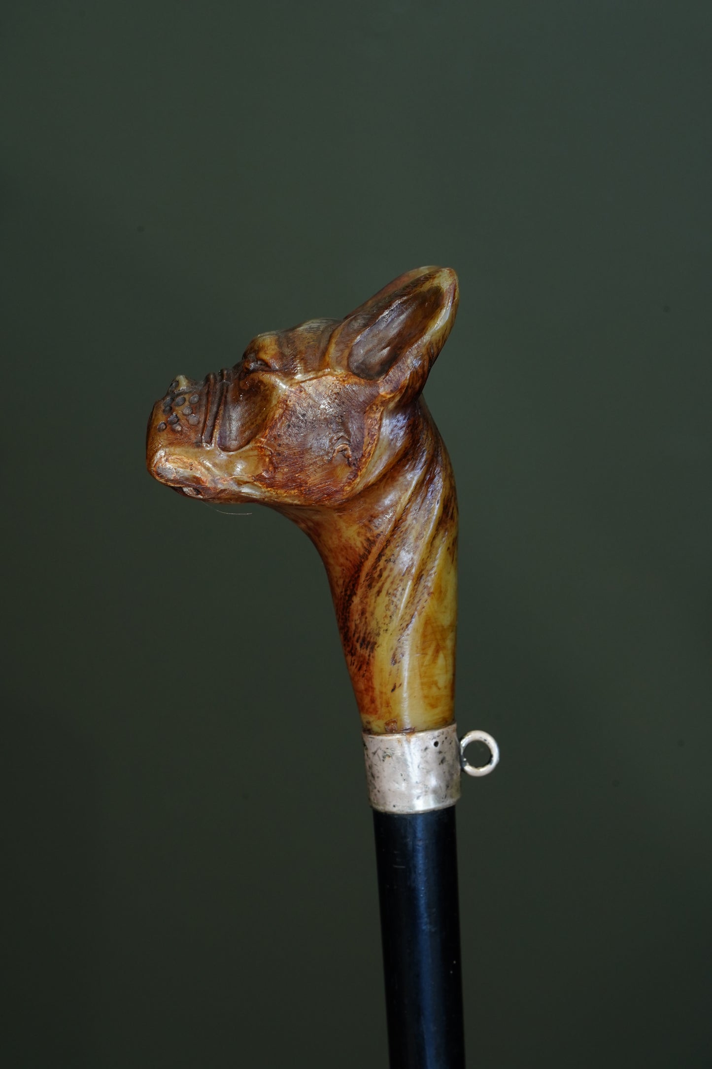 *Reserved* Victorian Carved Horn Boxer Dog Head Walking Stick