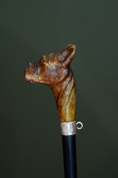 *Reserved* Victorian Carved Horn Boxer Dog Head Walking Stick