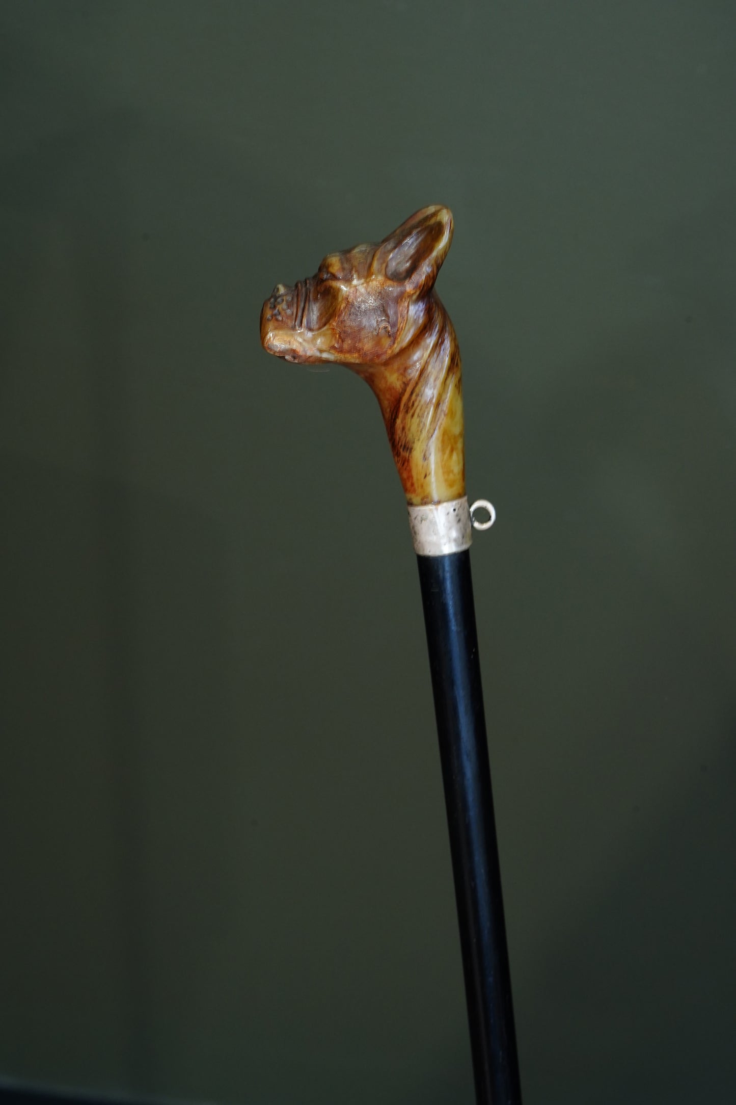 *Reserved* Victorian Carved Horn Boxer Dog Head Walking Stick