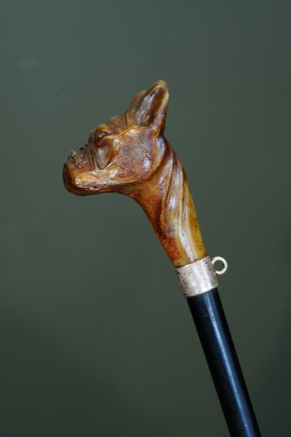 *Reserved* Victorian Carved Horn Boxer Dog Head Walking Stick