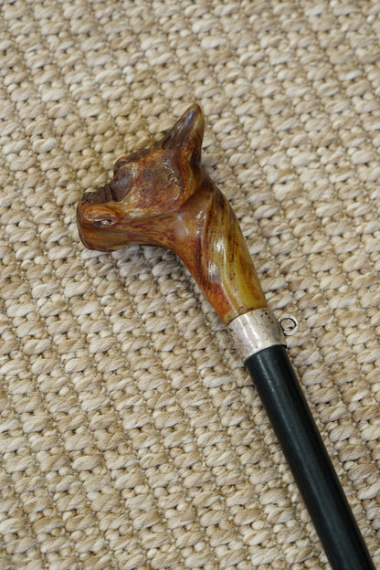 *Reserved* Victorian Carved Horn Boxer Dog Head Walking Stick