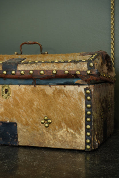 Antique English Haircalf Dome Top Trunk by I.K. Powell of Barnard Castle, Circa 1830