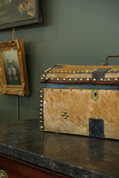 Antique English Haircalf Dome Top Trunk by I.K. Powell of Barnard Castle, Circa 1830