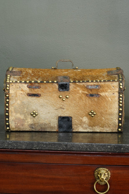 Antique English Haircalf Dome Top Trunk by I.K. Powell of Barnard Castle, Circa 1830