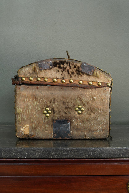 Antique English Haircalf Dome Top Trunk by I.K. Powell of Barnard Castle, Circa 1830