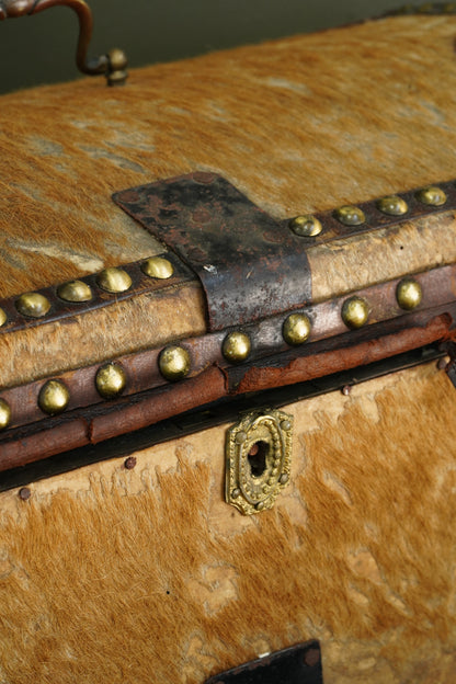 Antique English Haircalf Dome Top Trunk by I.K. Powell of Barnard Castle, Circa 1830