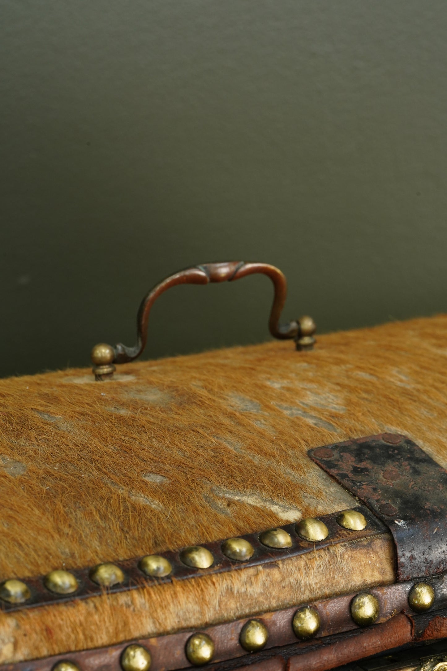 Antique English Haircalf Dome Top Trunk by I.K. Powell of Barnard Castle, Circa 1830