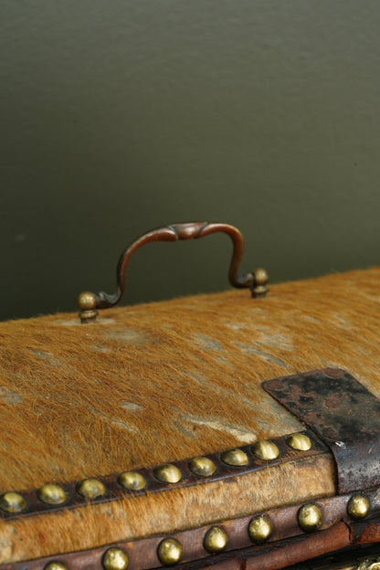 Antique English Haircalf Dome Top Trunk by I.K. Powell of Barnard Castle, Circa 1830