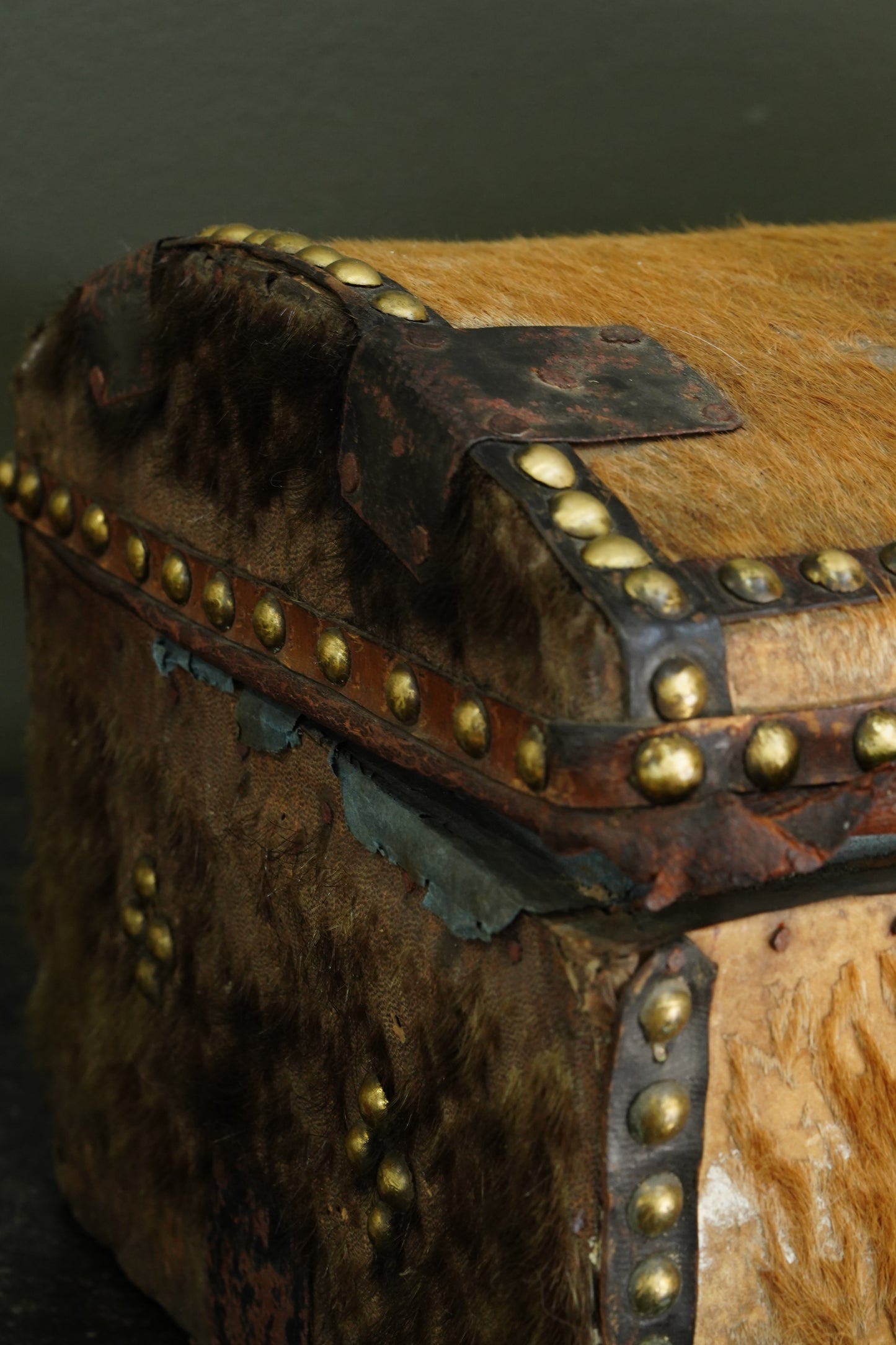 Antique English Haircalf Dome Top Trunk by I.K. Powell of Barnard Castle, Circa 1830