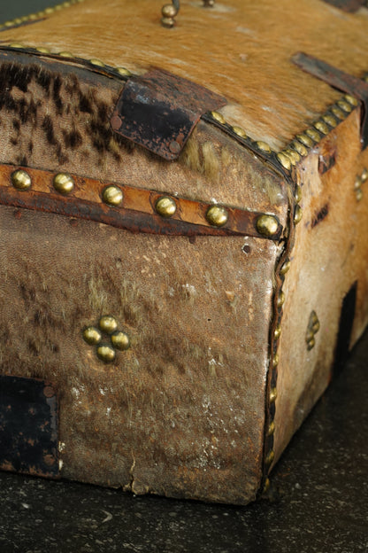 Antique English Haircalf Dome Top Trunk by I.K. Powell of Barnard Castle, Circa 1830