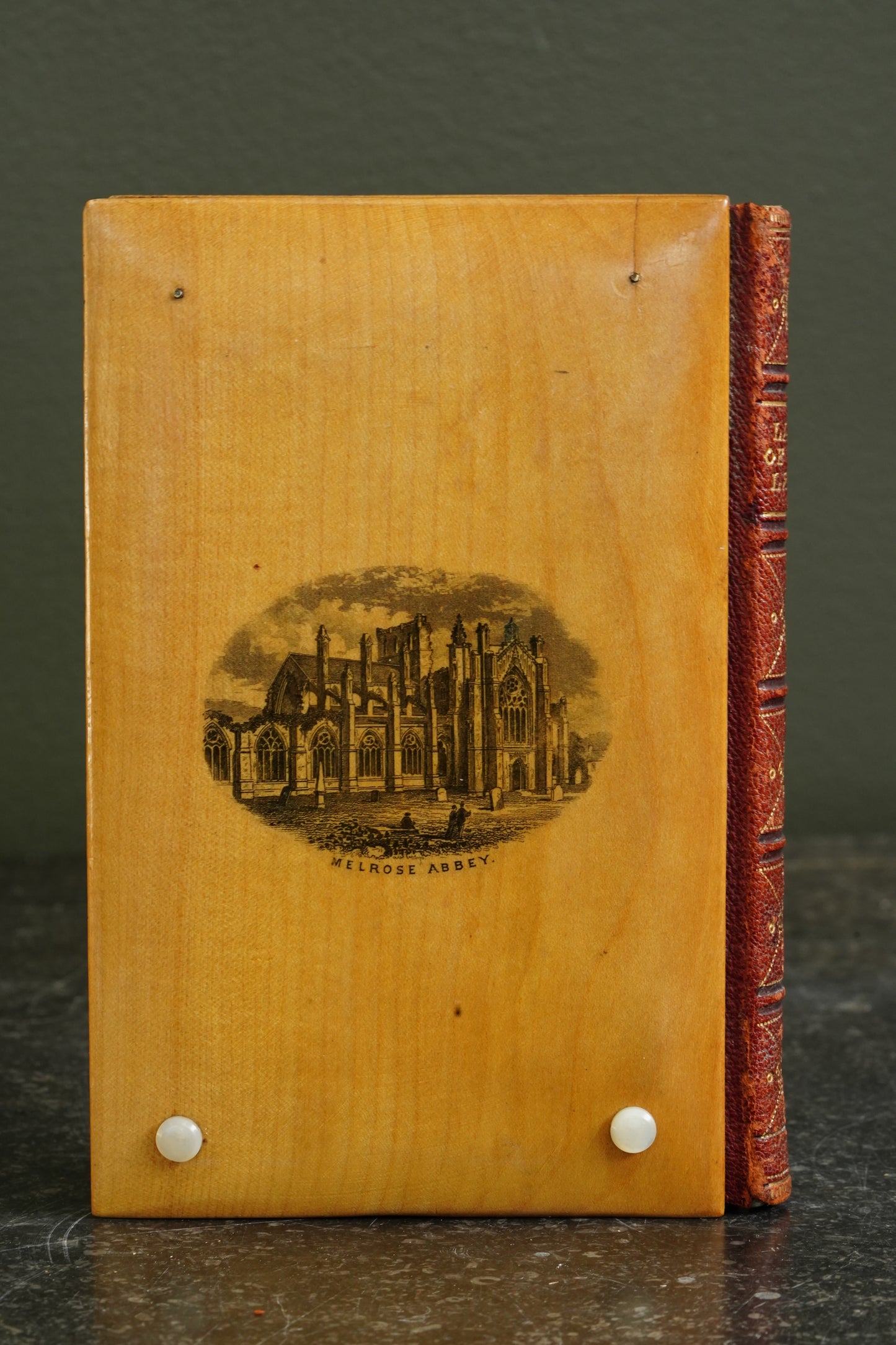 Antique Poetry Book Lady of the Lake Walter Scott Mauchline Binding