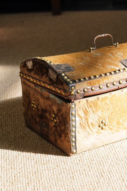Antique English Hide Dome-Top Trunk, Barnard Castle