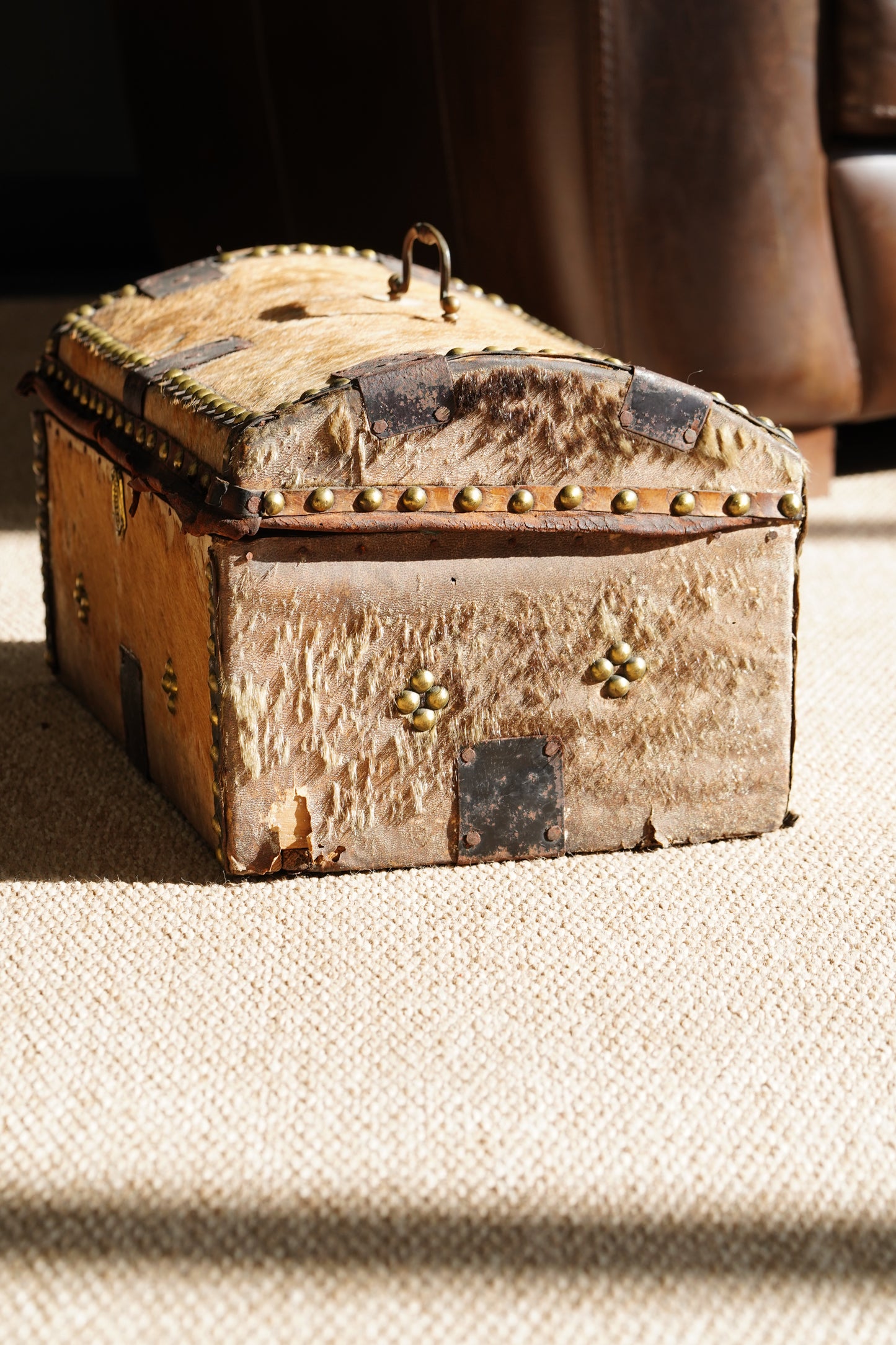 Antique English Hide Dome-Top Trunk, Barnard Castle