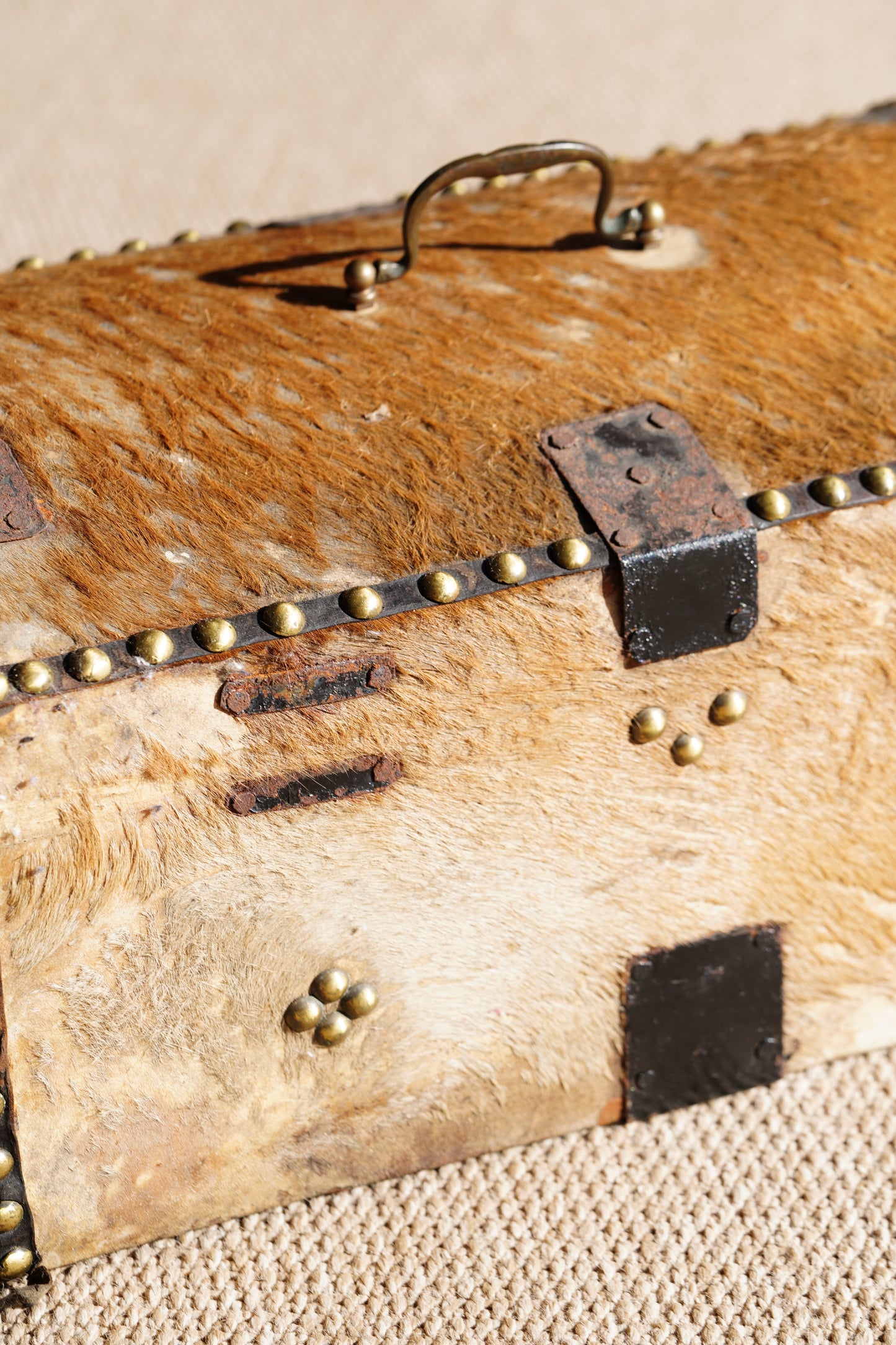 Antique English Hide Dome-Top Trunk, Barnard Castle