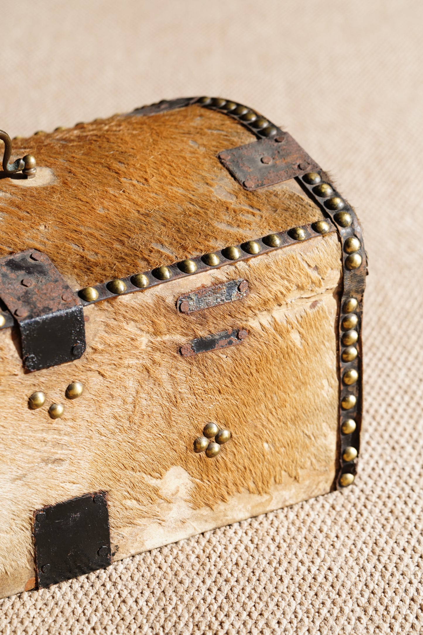 Antique English Hide Dome-Top Trunk, Barnard Castle