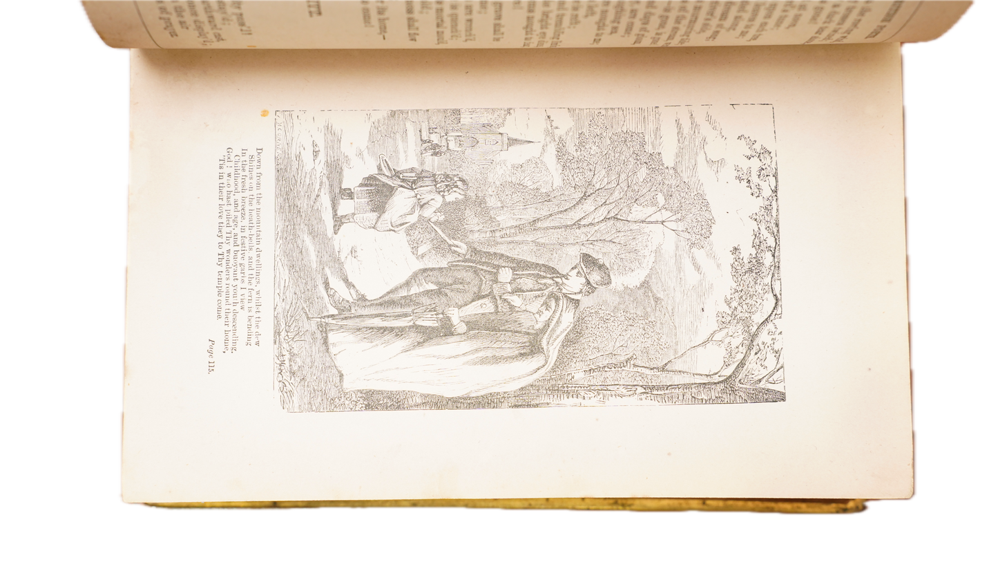 Casquet of Gems 1874 Antique Celluloid Poetry Book