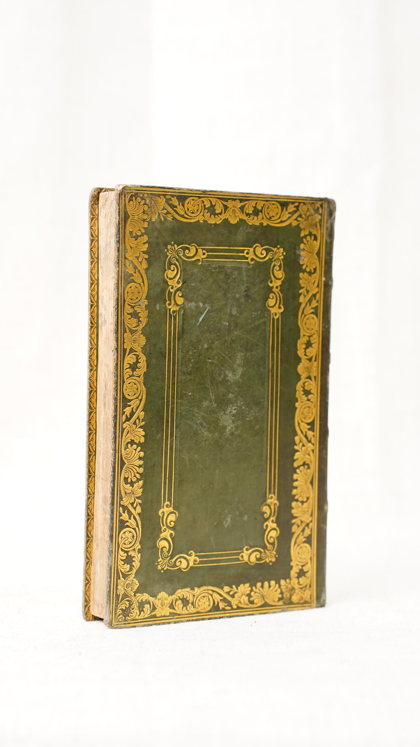 Montgomery Pelican Island 1828 Antique Prize Binding Green Leather Book