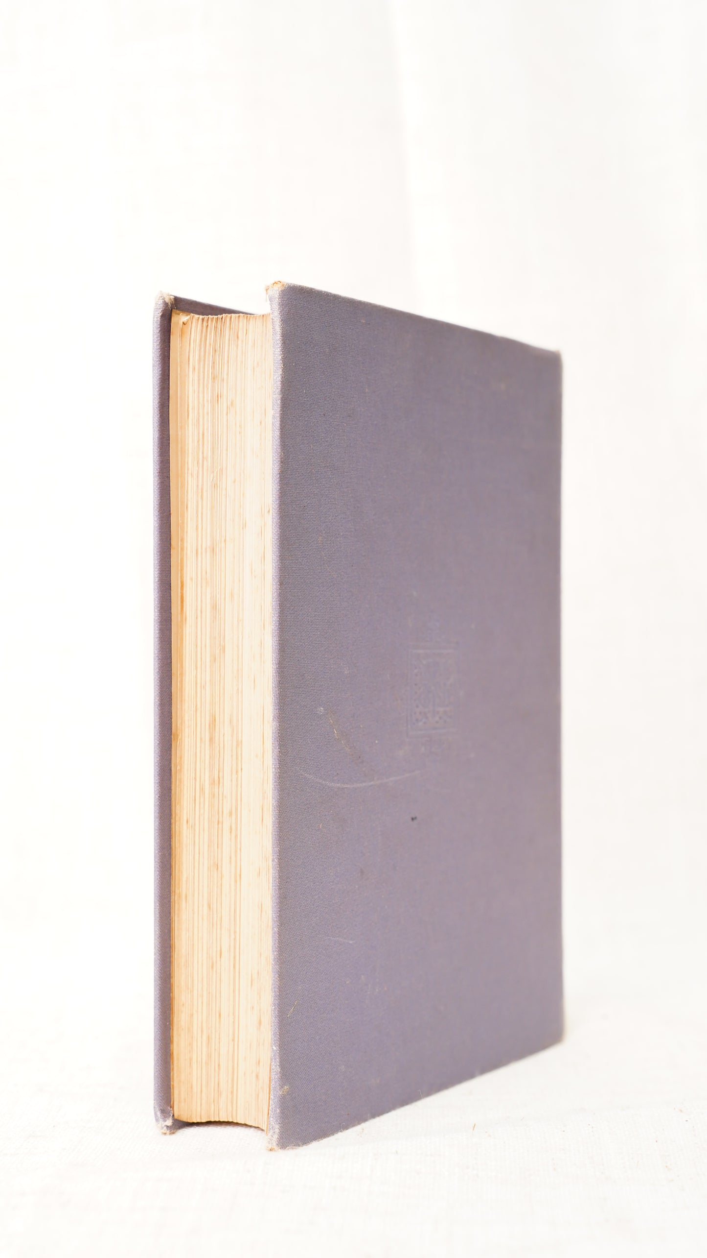 Antique Little Miss Wardlaw Louisa M Gray 1889 Nelson Prize Binding
