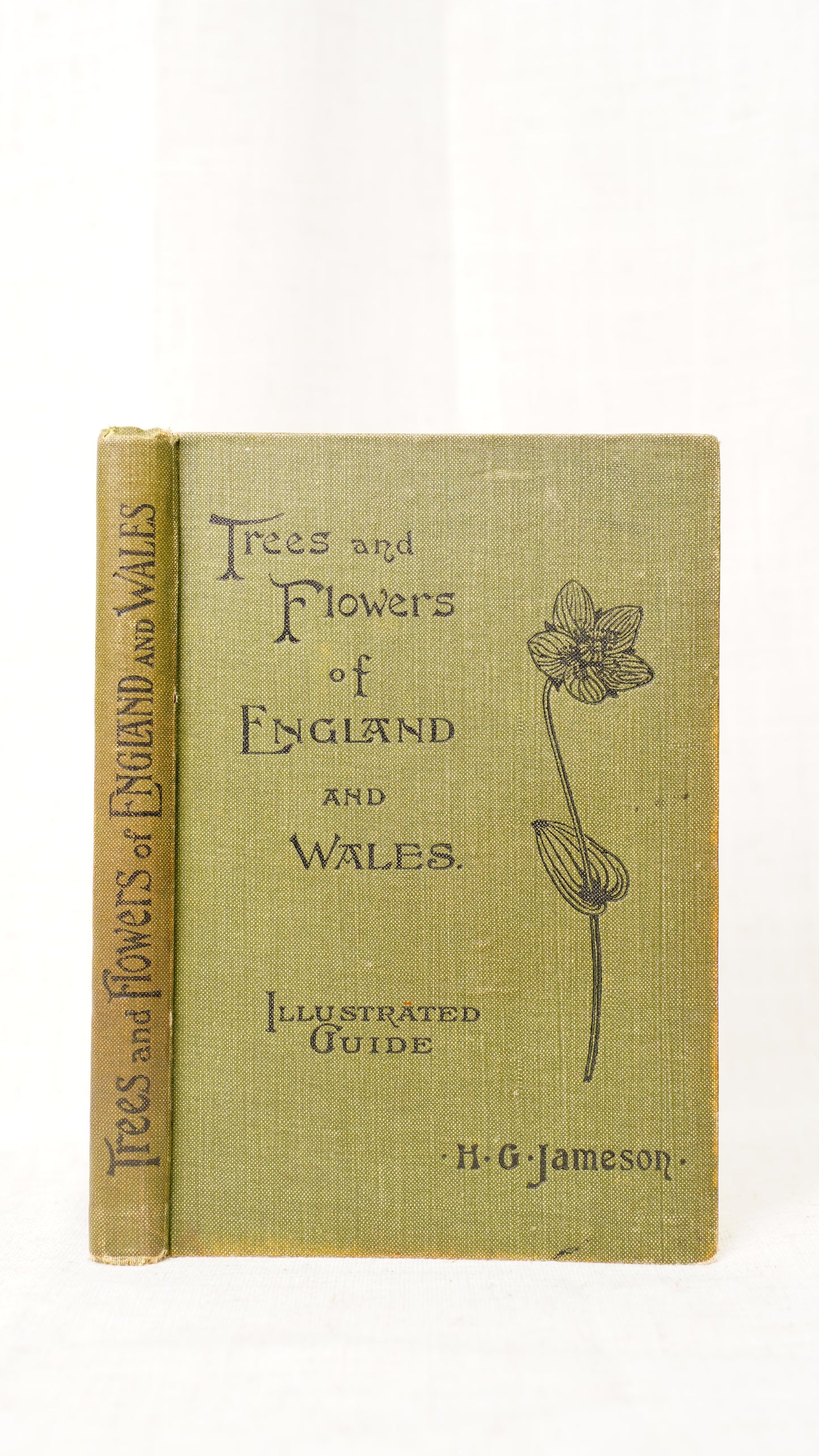 Antique H.G. Jameson Trees and Flowers of England and Wales 1909 Illustrated Guide