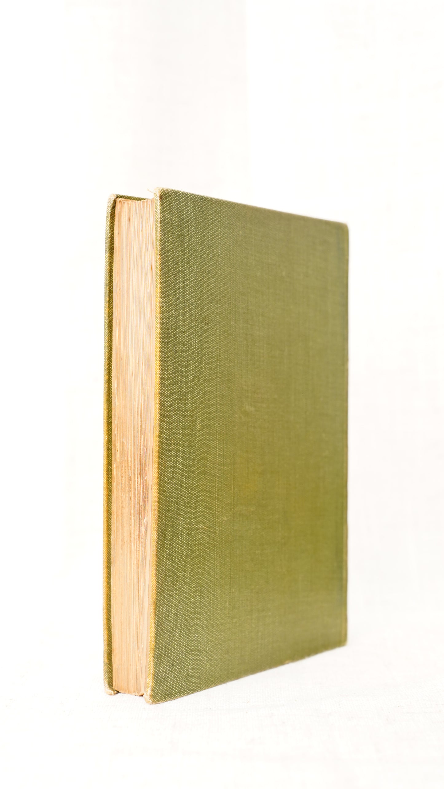 Antique H.G. Jameson Trees and Flowers of England and Wales 1909 Illustrated Guide