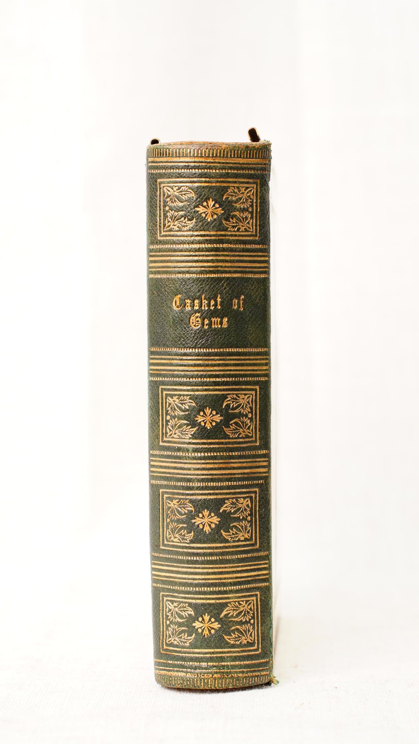 Casquet of Gems 1874 Antique Celluloid Poetry Book
