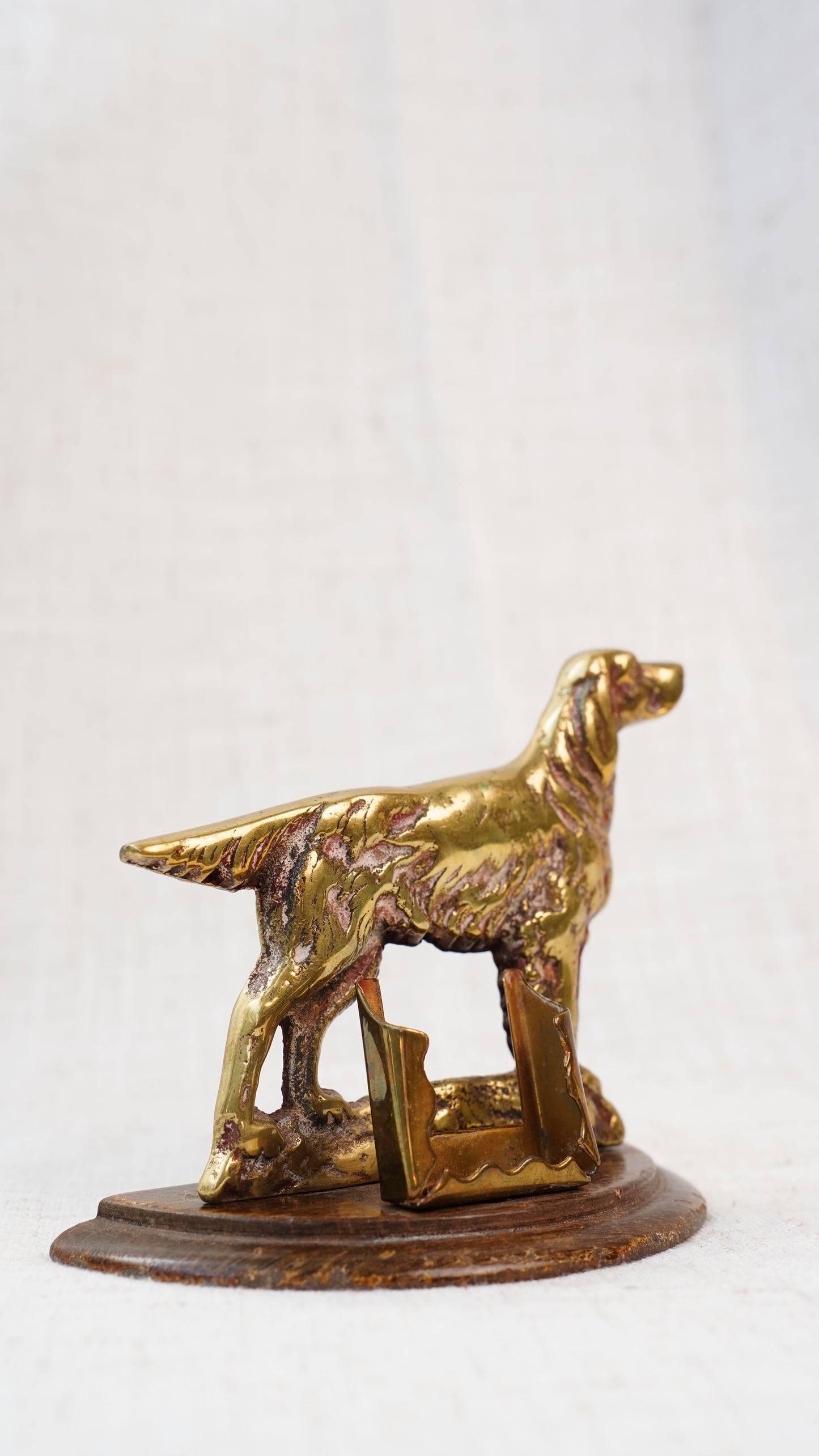 Antique English Brass Setter Dog Figure on Wood Plinth