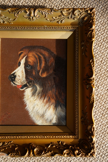 Antique Signed St. Bernard Dog Portrait Oil Painting