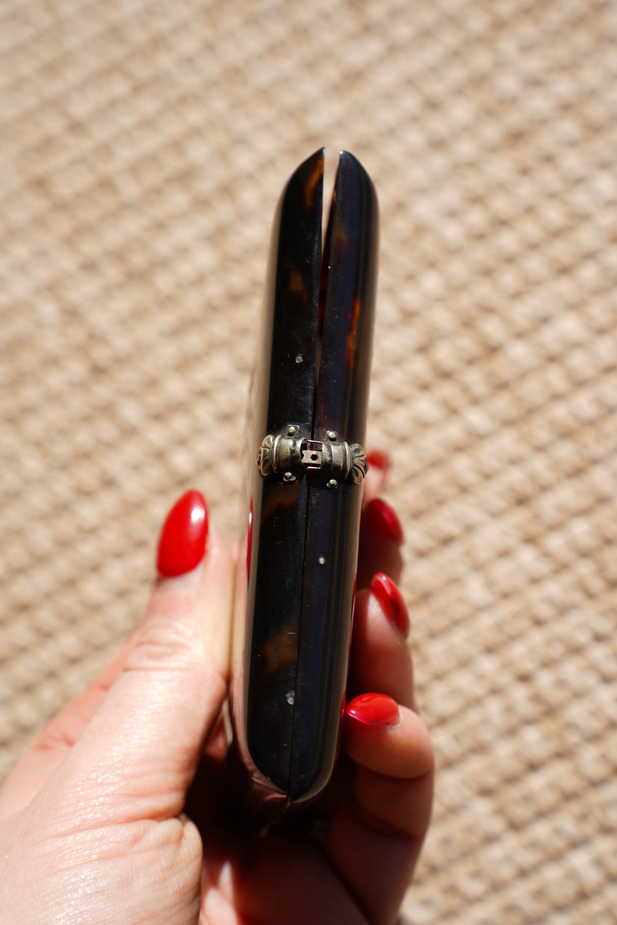 Antique Tortoiseshell Card Case