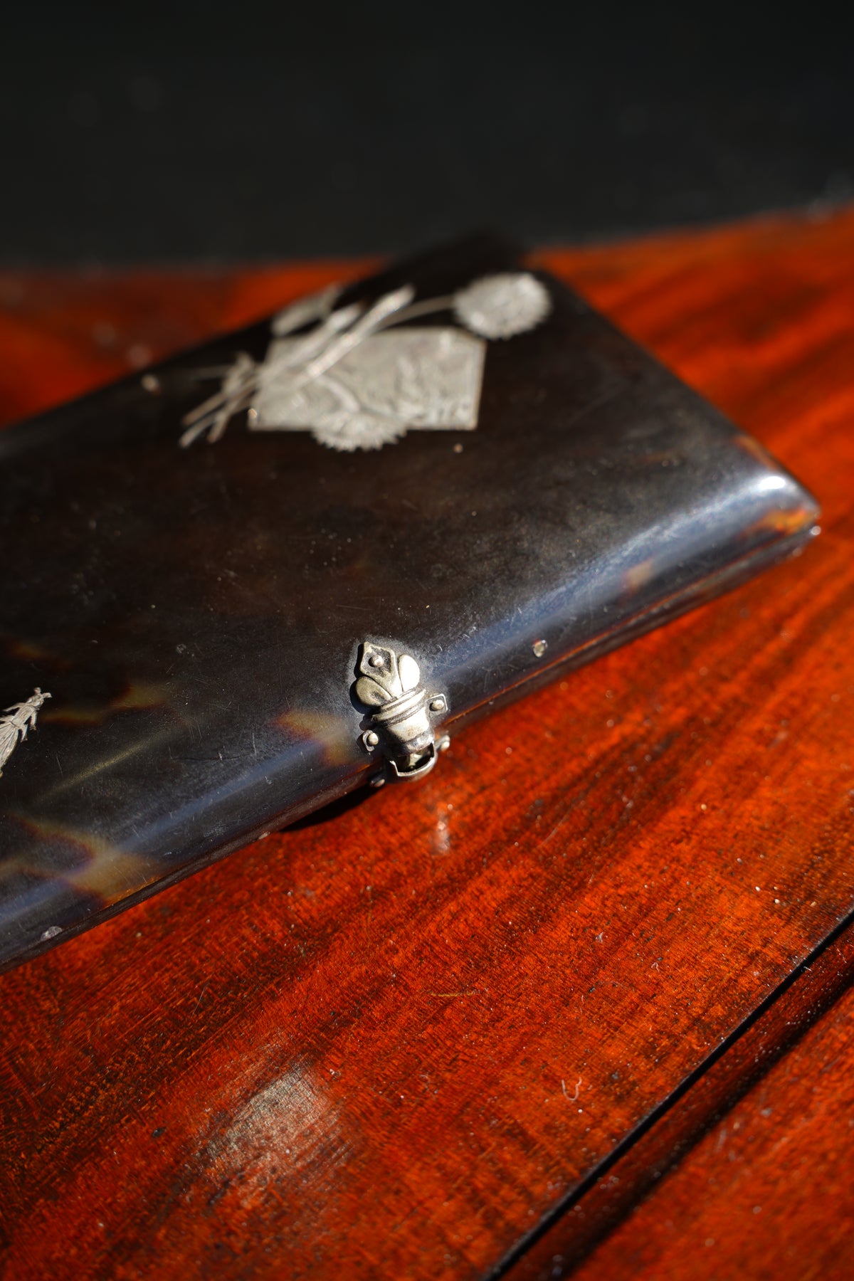 Antique Tortoiseshell Card Case