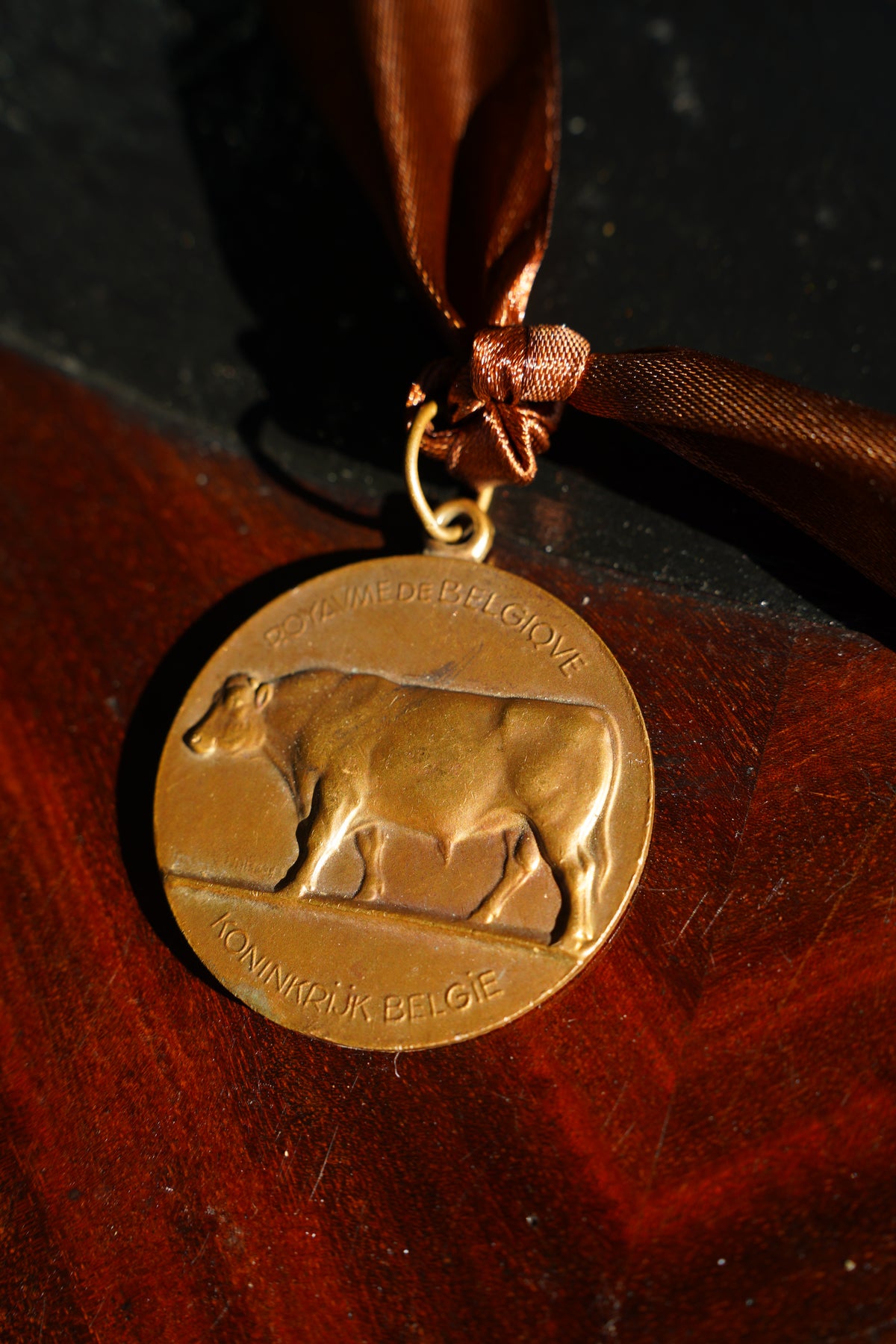 Belgian Bronze Medallion Awards