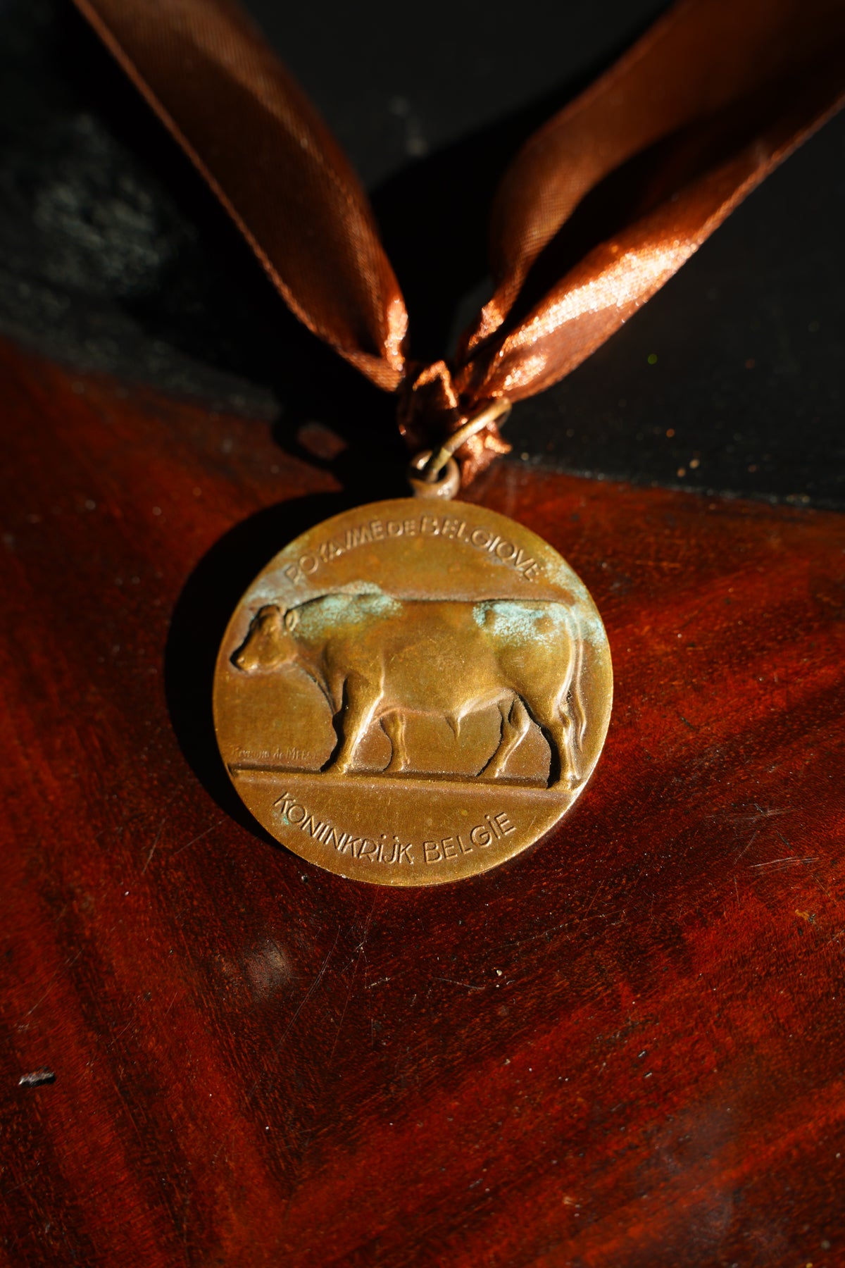 Belgian Bronze Medallion Awards